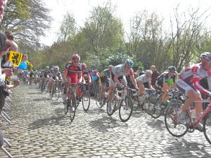 Flandern-Rundfahrt 2721